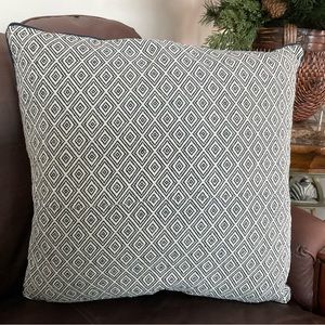 Throw pillow 20x20 blue and white